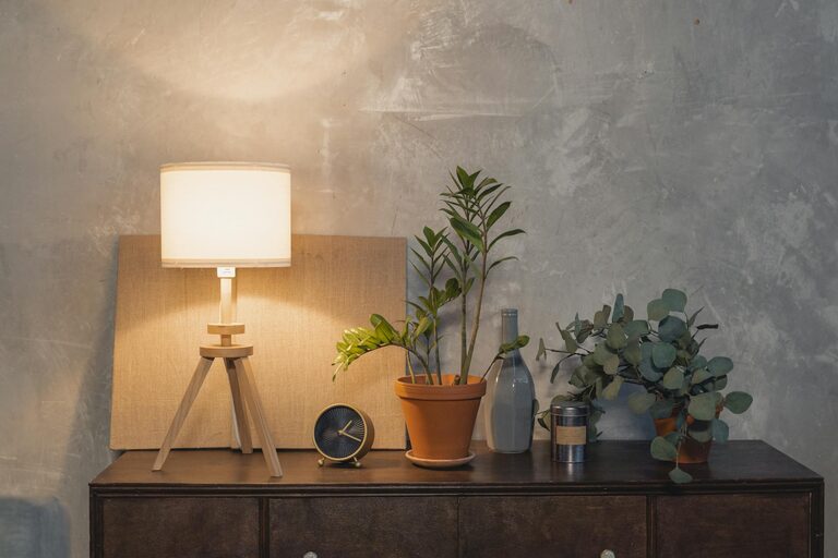 Tips for Creating a Cozy and Inviting Home Environment on a Budget