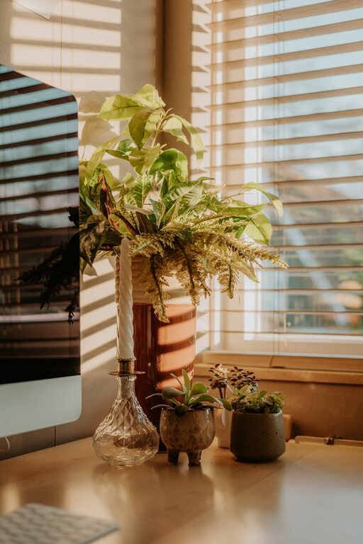 Tips for Creating a Relaxing Home Office Environment